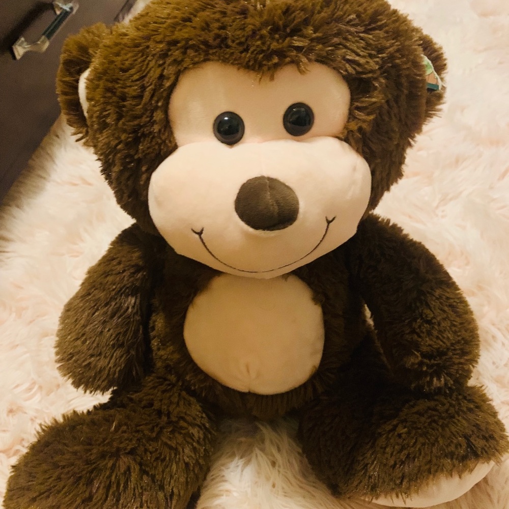 Teddy bear